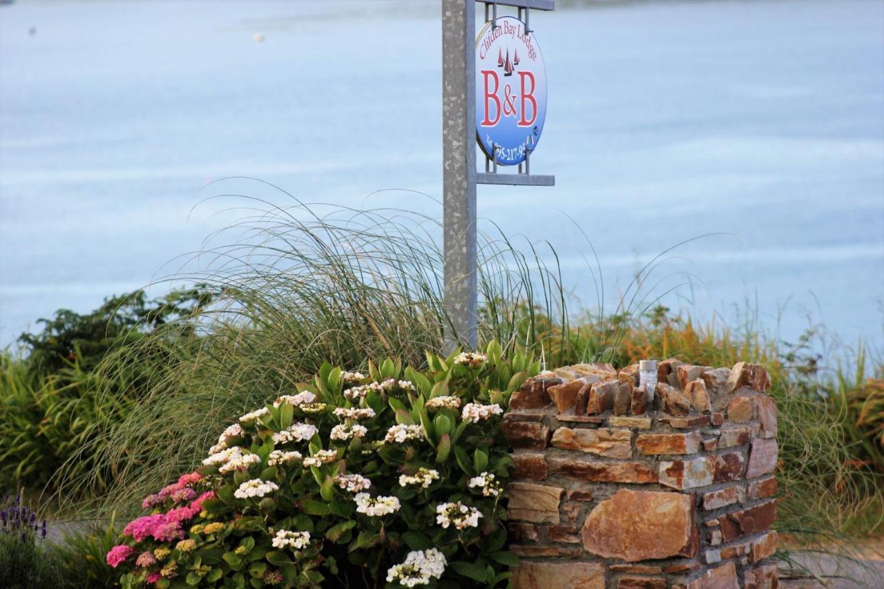 Clifden Bay Lodge Bagian luar foto