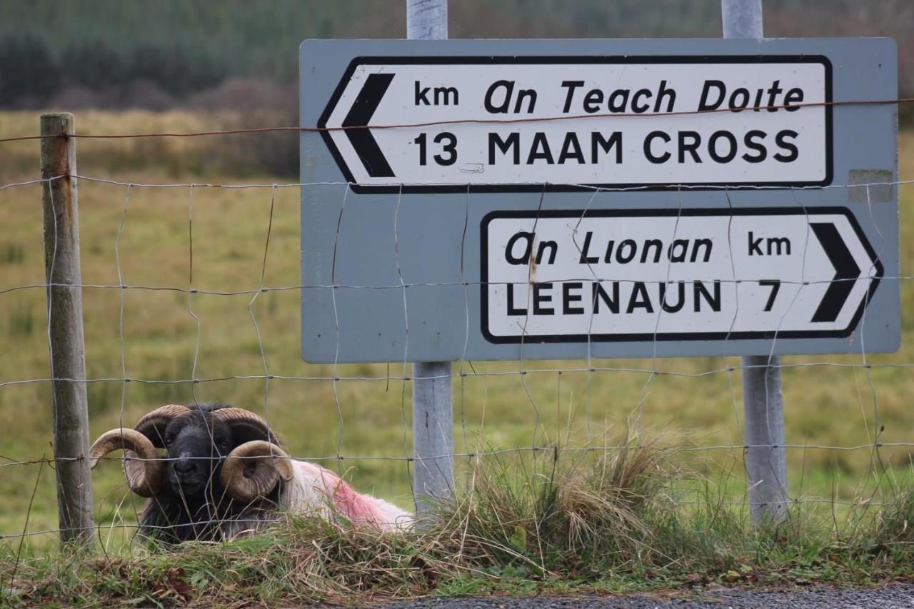 Clifden Bay Lodge Bagian luar foto