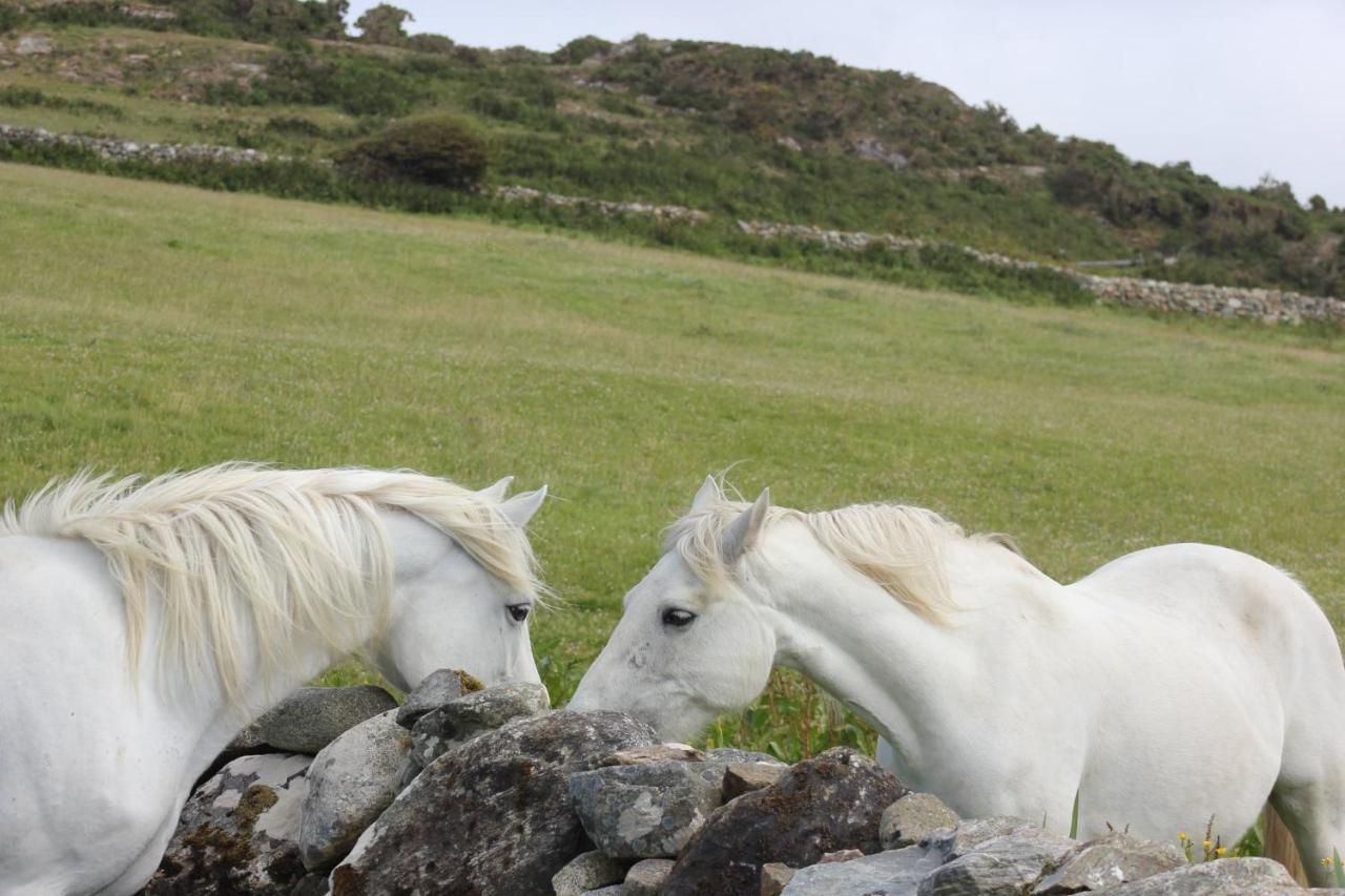 Clifden Bay Lodge Bagian luar foto