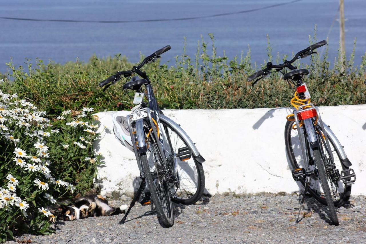 Clifden Bay Lodge Bagian luar foto