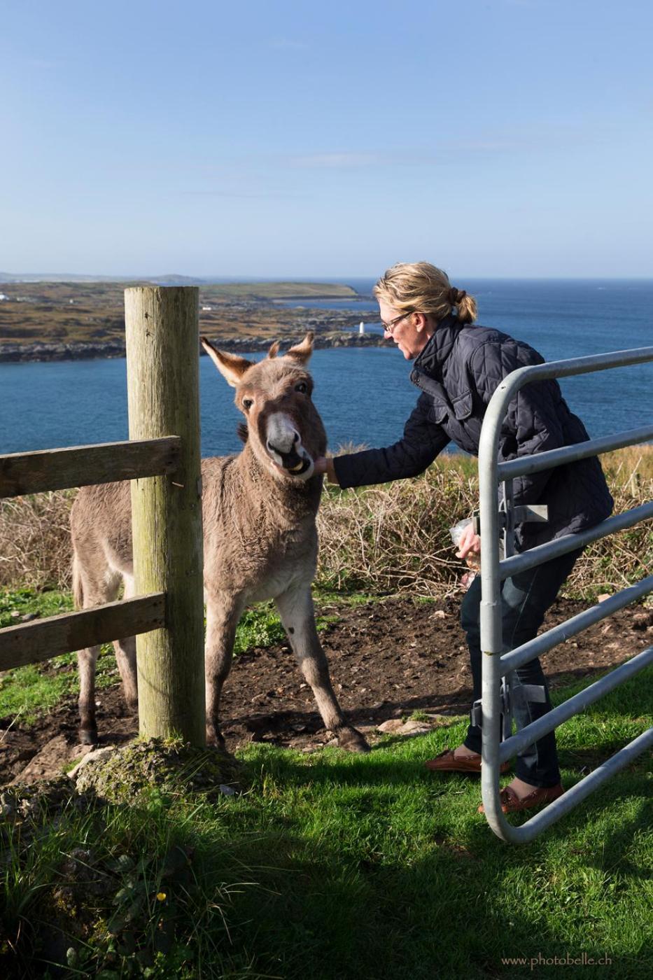Clifden Bay Lodge Bagian luar foto